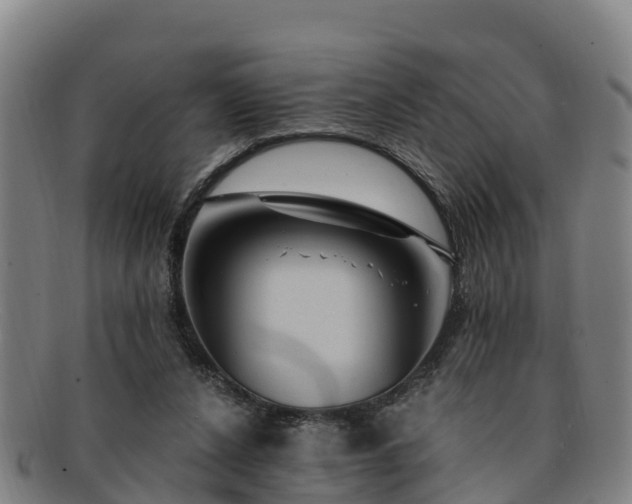 X0000091730256200708311209