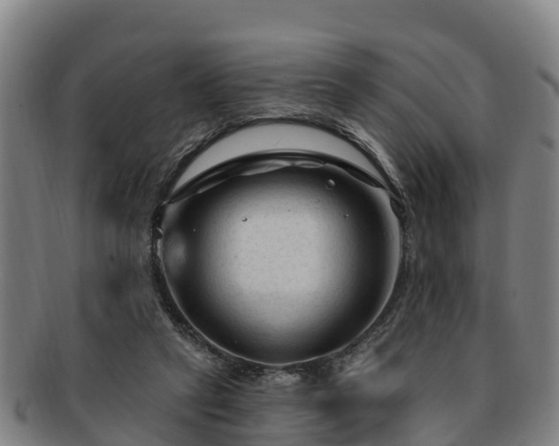 X0000091730257200708311209