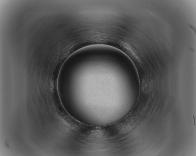 X0000091730259200708311209