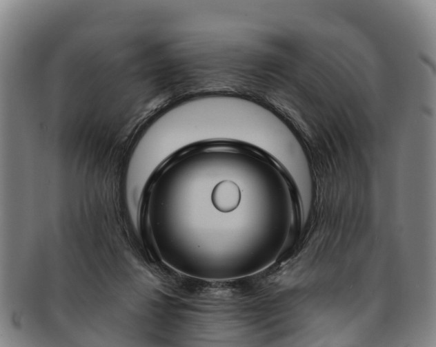 X0000091730260200708311209