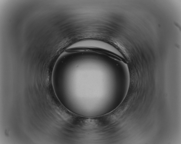 X0000091730261200708311209