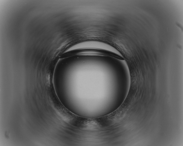 X0000091730262200708311209