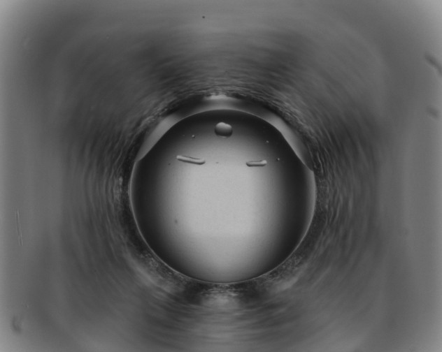 X0000091730263200708311209