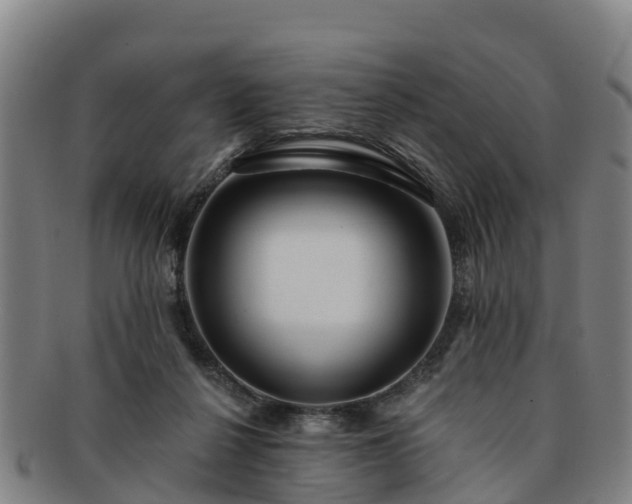 X0000091730264200708311209