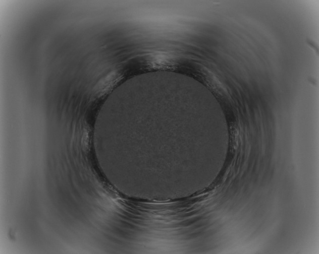 X0000091730266200708311209