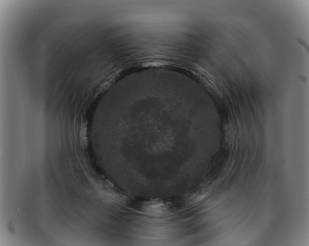 X0000091730267200708311209