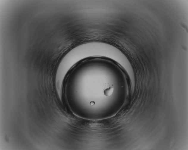 X0000091730268200708311209