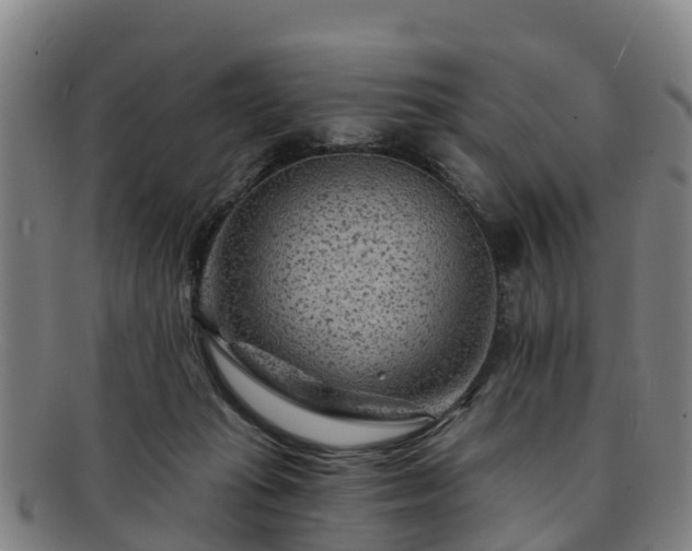 X0000091730269200708311209