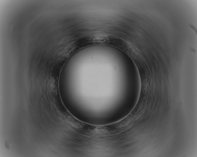 X0000091730270200708311209