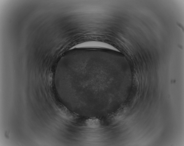 X0000091730271200708311209