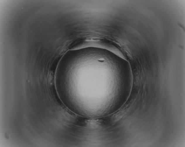 X0000091730273200708311209