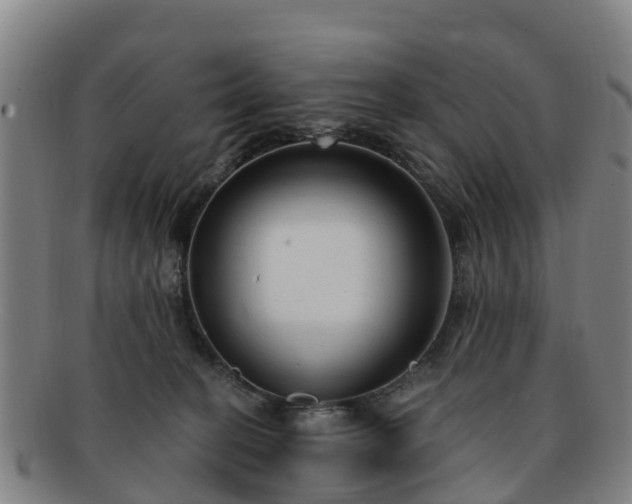 X0000091730274200708311209