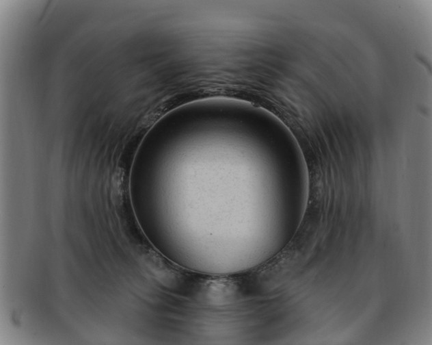 X0000091730275200708311209