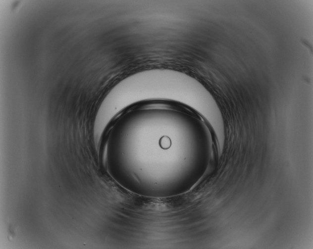 X0000091730276200708311209