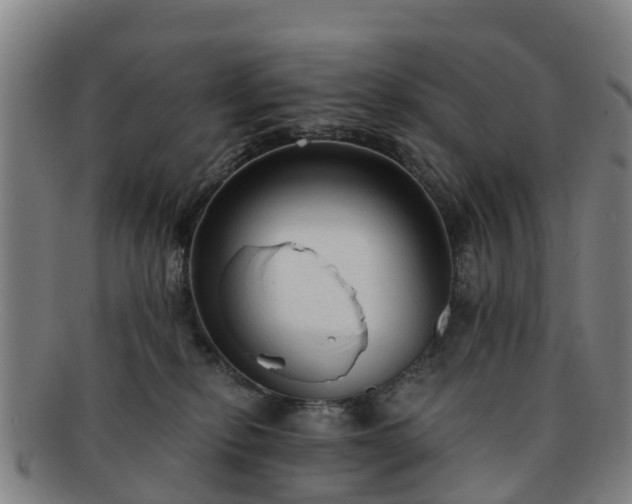 X0000091730278200708311209