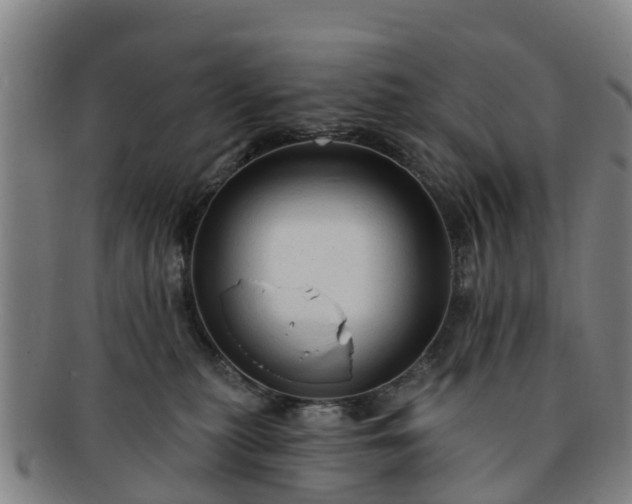 X0000091730279200708311209