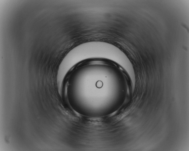 X0000091730284200708311209