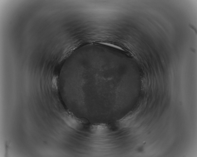 X0000091730286200708311209