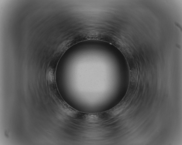 X0000091730287200708311209