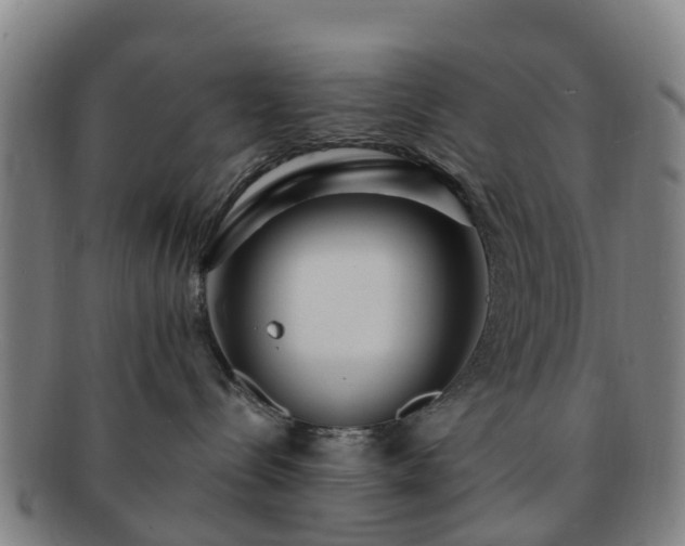 X0000091730288200708311209