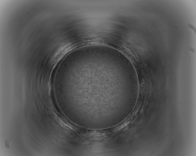 X0000091730290200708311208