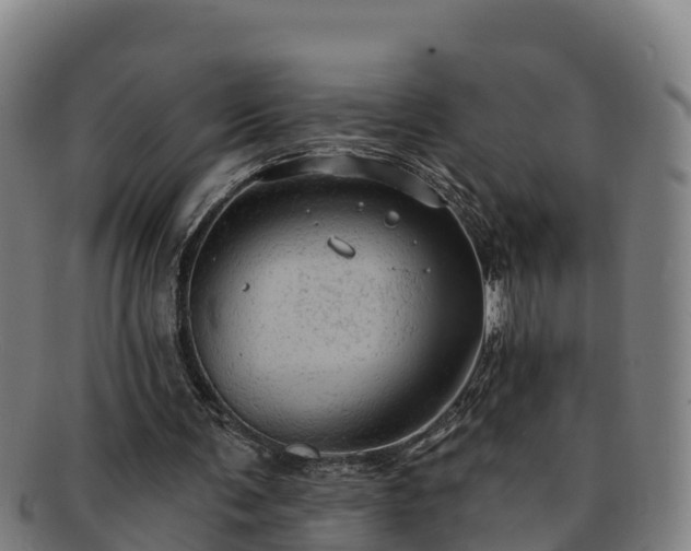 X0000091730291200708311208