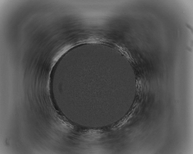 X0000091730292200708311208