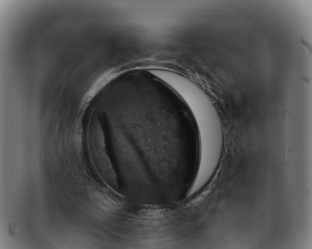 X0000091730295200708311208