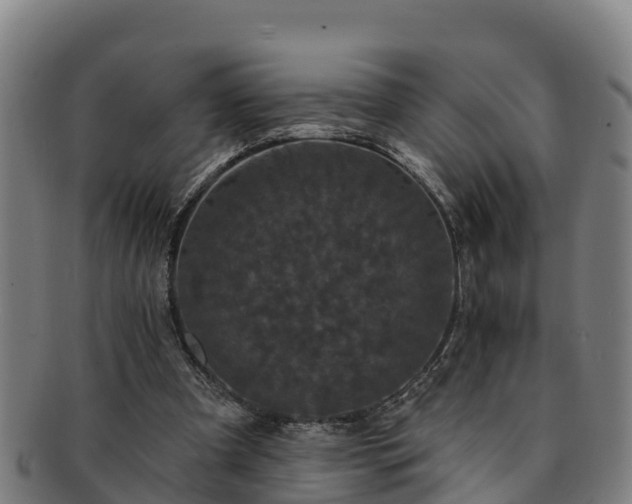 X0000091730297200708311208