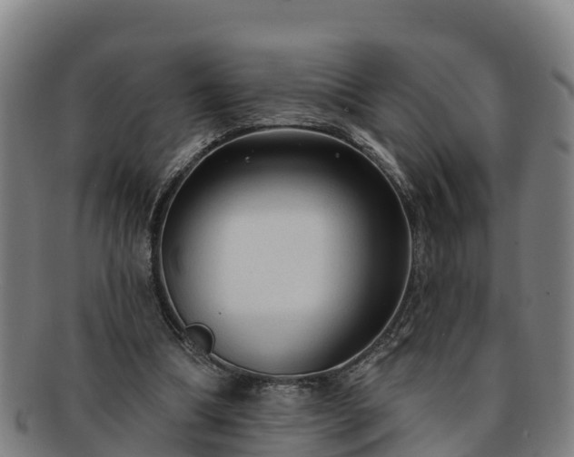 X0000091730298200708311208