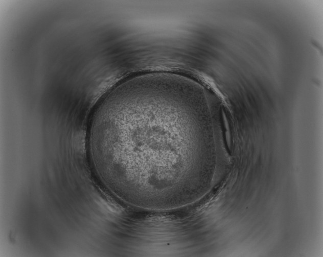 X0000091730299200708311208