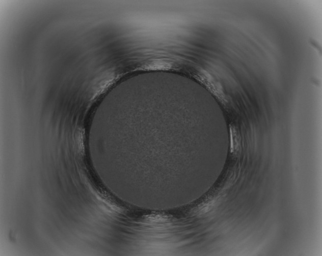 X0000091730300200708311208