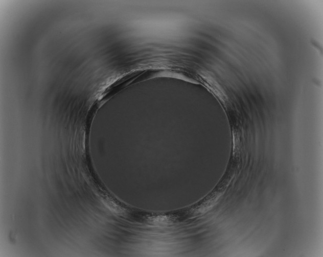 X0000091730301200708311208