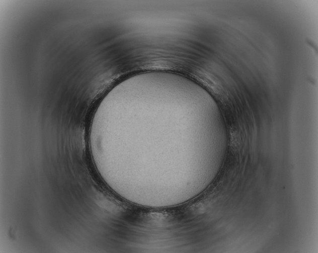 X0000091730302200708311208