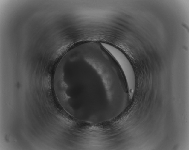 X0000091730303200708311208