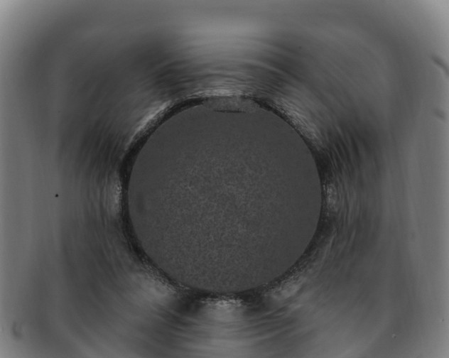 X0000091730304200708311208