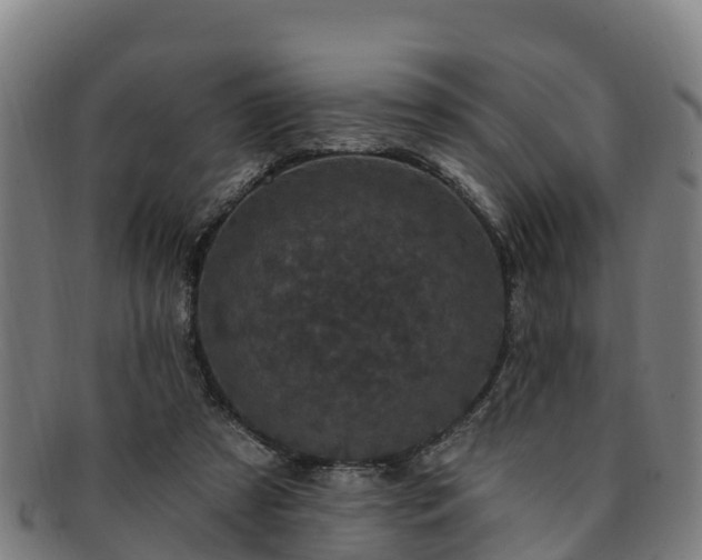 X0000091730305200708311208