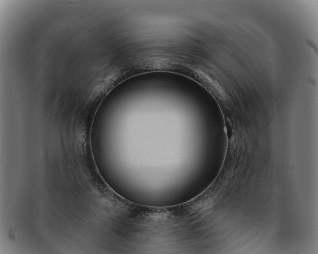 X0000091730306200708311208