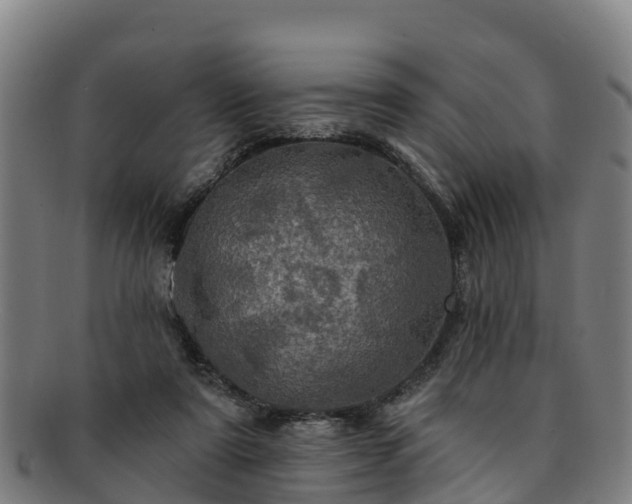 X0000091730307200708311208