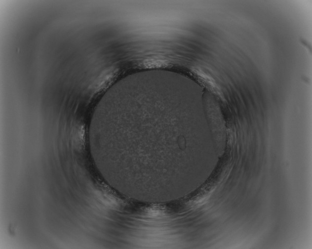 X0000091730308200708311208