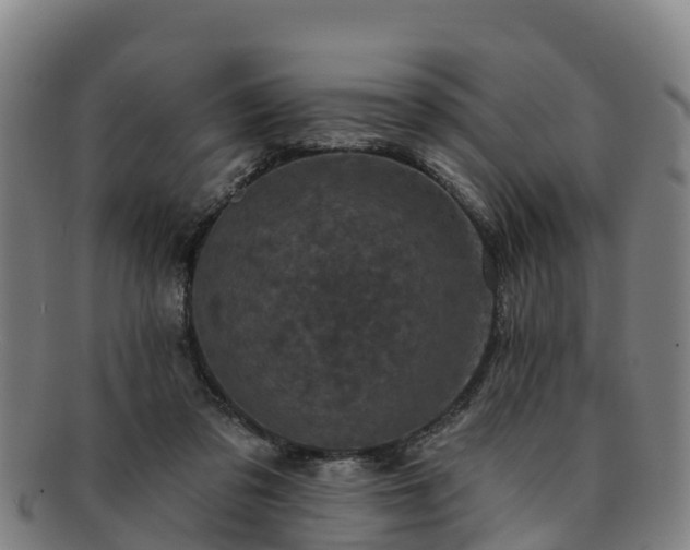 X0000091730309200708311208