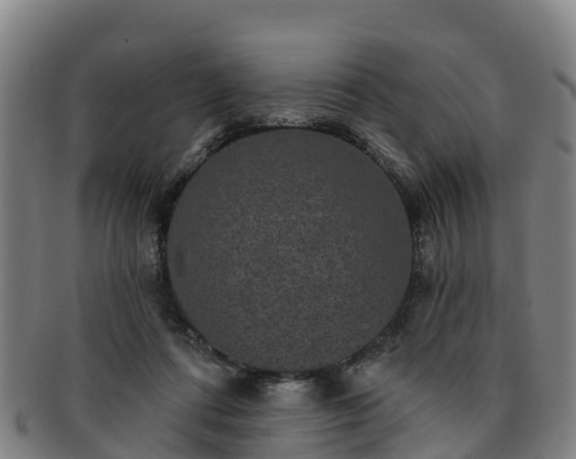 X0000091730312200708311208