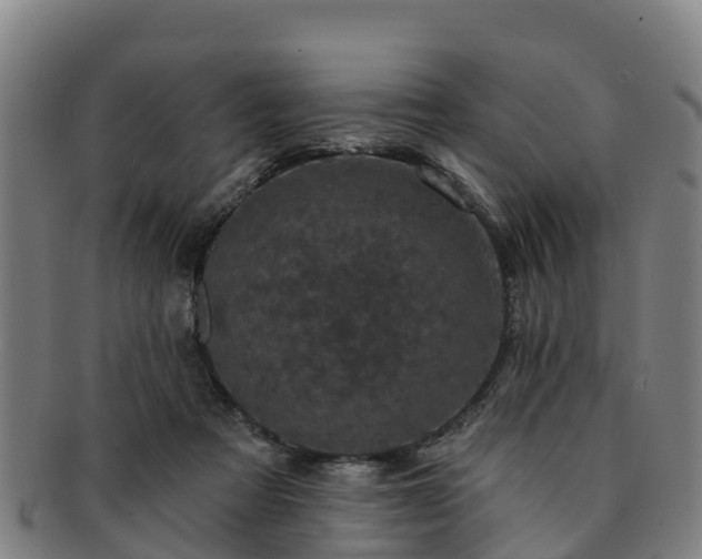 X0000091730313200708311208