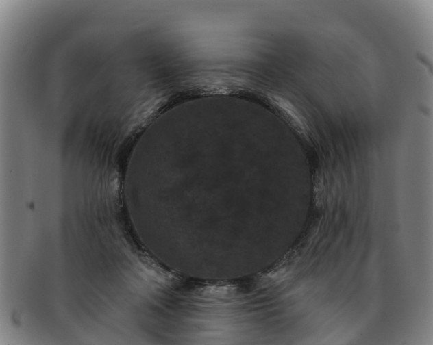 X0000091730314200708311208