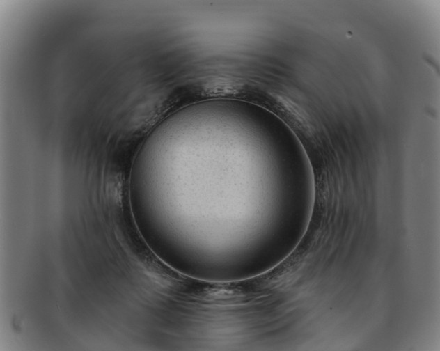 X0000091730315200708311208