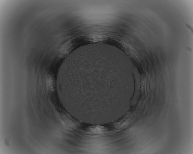 X0000091730316200708311208