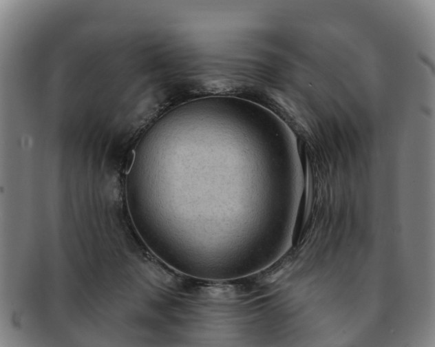 X0000091730317200708311208