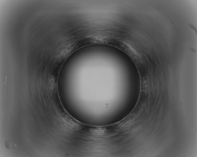 X0000091730318200708311208