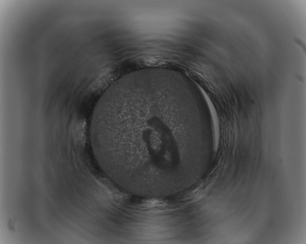 X0000091730319200708311208