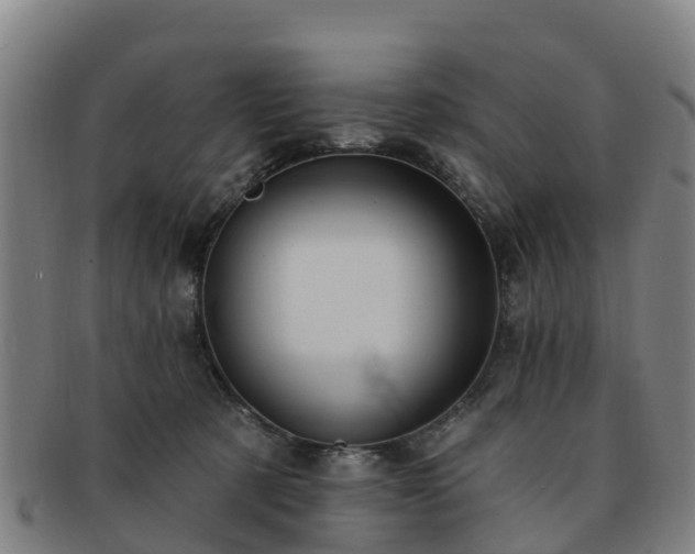 X0000091730321200708311208